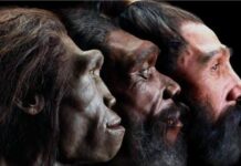 A Global Call to Reclaim Truth and Rebuild Equality – Dr Wiseman Osiahene Writes