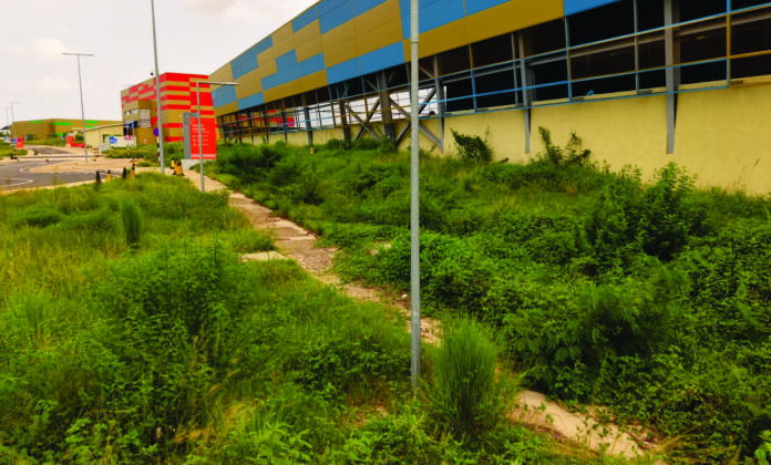 STADIUM