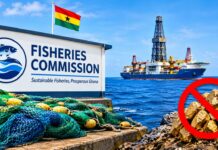 Fisheries Commission kicks against grant of Offshore Gold Exploration licence
